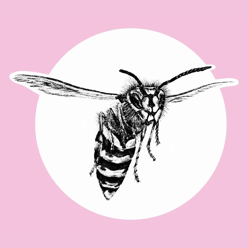 Wasp - Bee - Insect