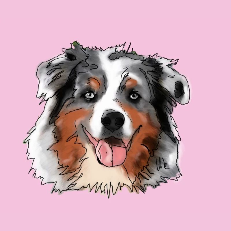 Australian Shepherd