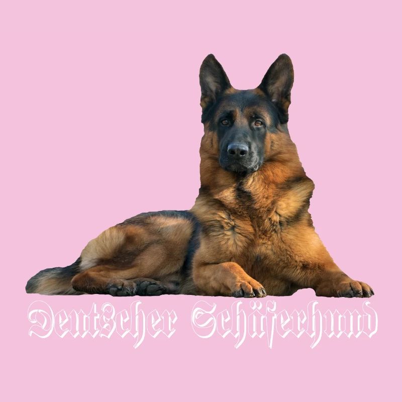German shepherd, german shepherd, dog head, dogs