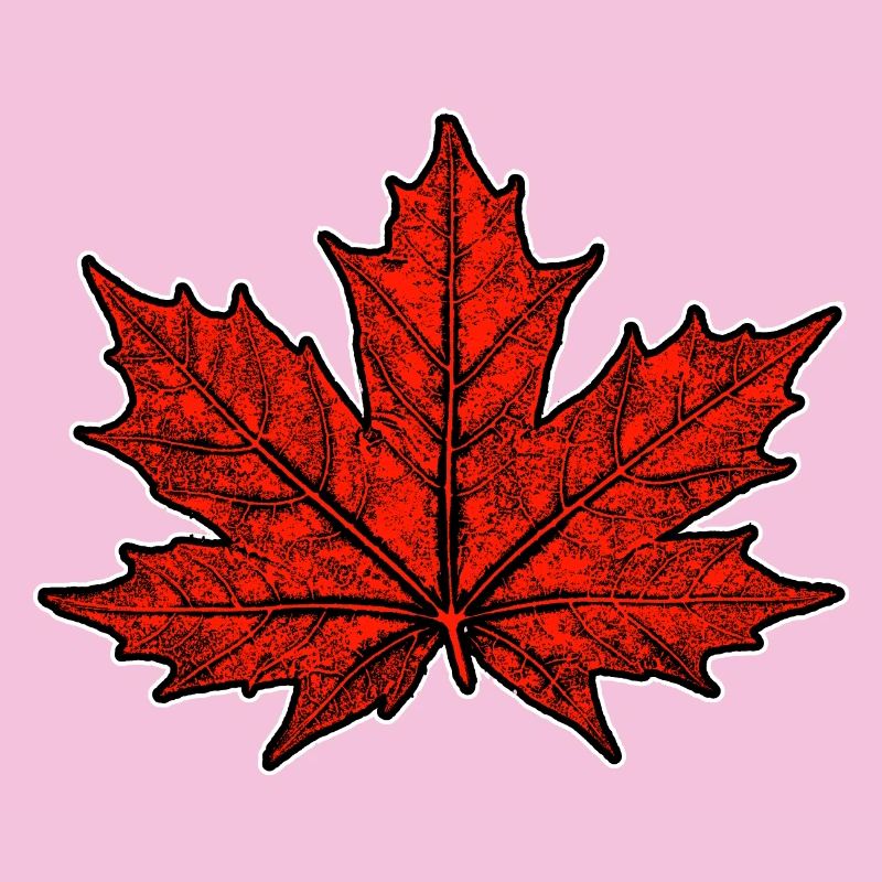 Érable / Feuille