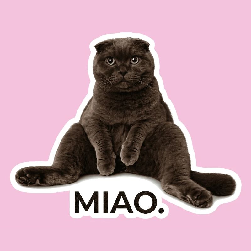 The ultimate Scottish Fold chill vibe – "Miao."