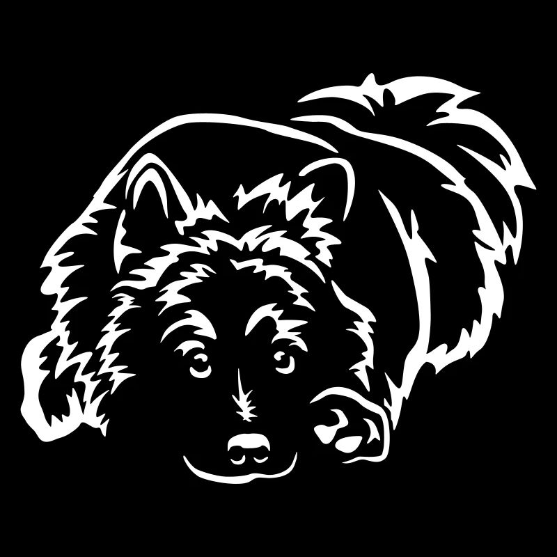 Eurasier "Black Edition"
