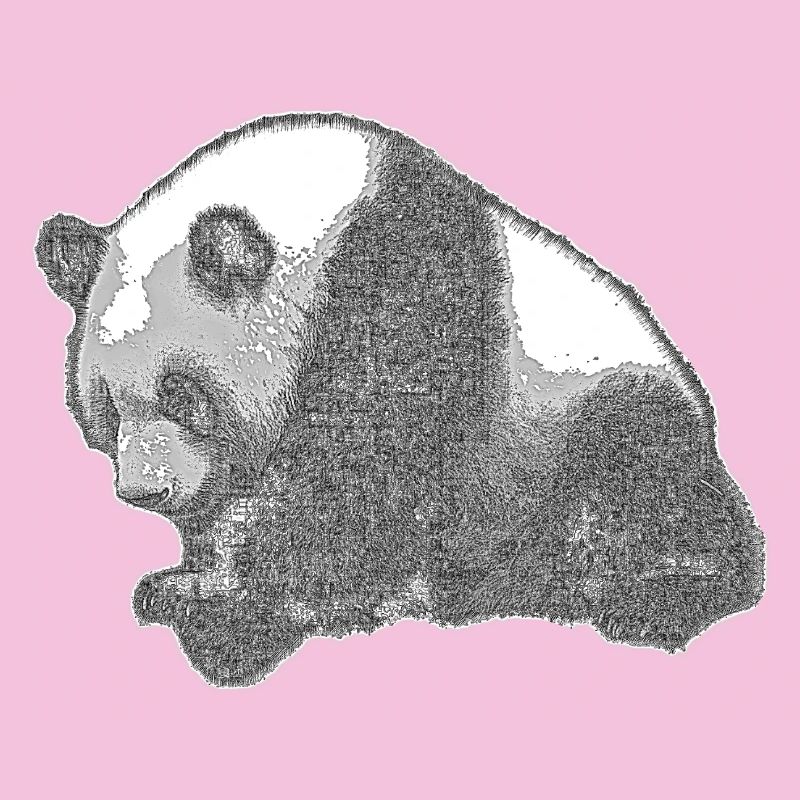 Panda groß
