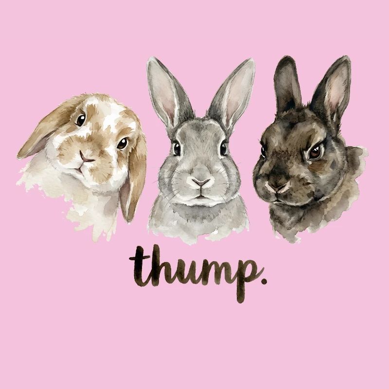 Fun rabbit knocking for rabbit lovers