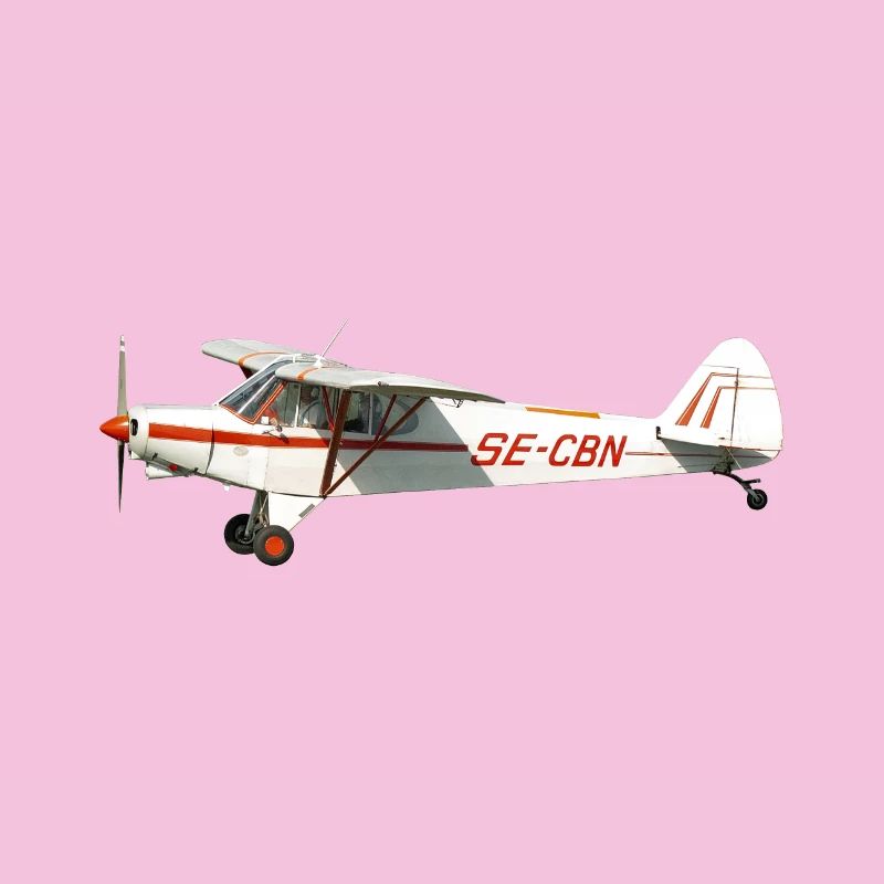 Flugzeug