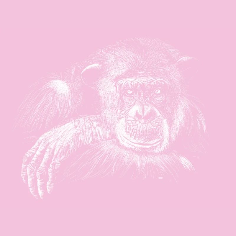 Singe