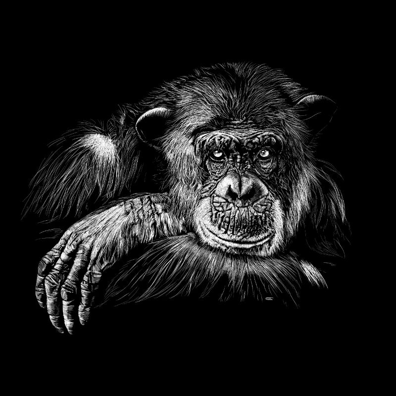 Singe