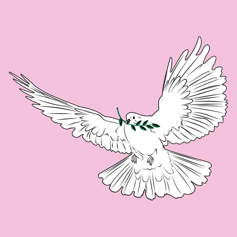 Tourterelle de la paix blanche avec branche de laurier