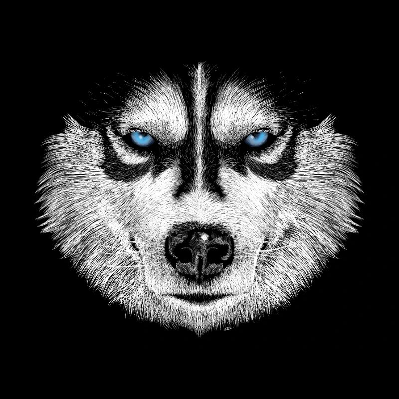 Husky