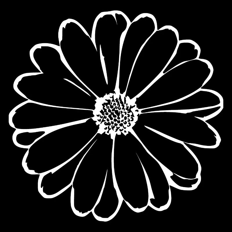 Fleur, Noir, Fleurs, Noir, Fleur