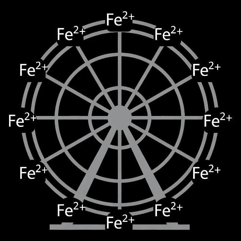 Conception scientifique de la chimie des ions Fer-ferreux Fe2+