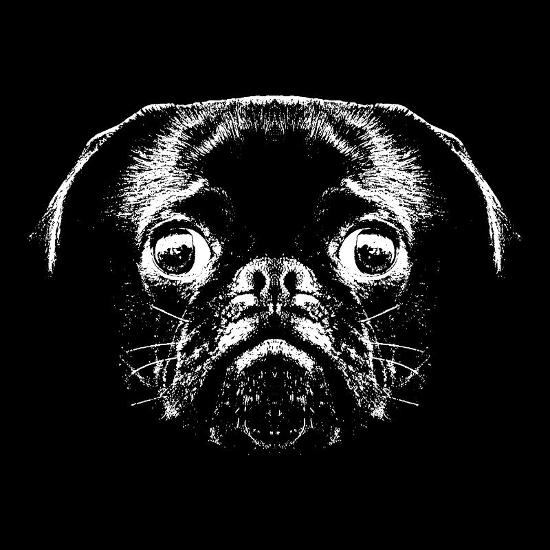 Carlin / Visage / Tête