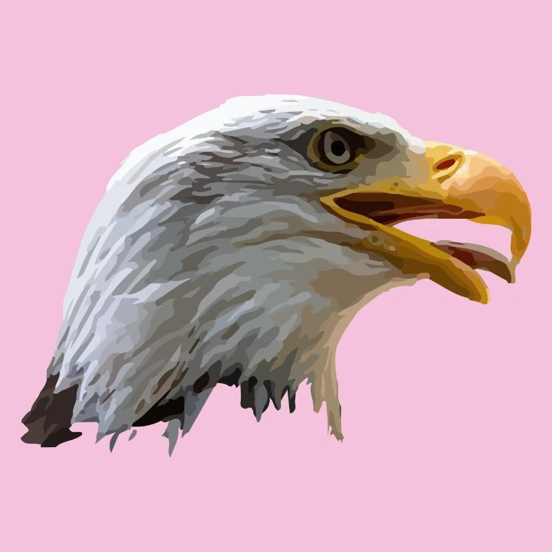 bald eagle
