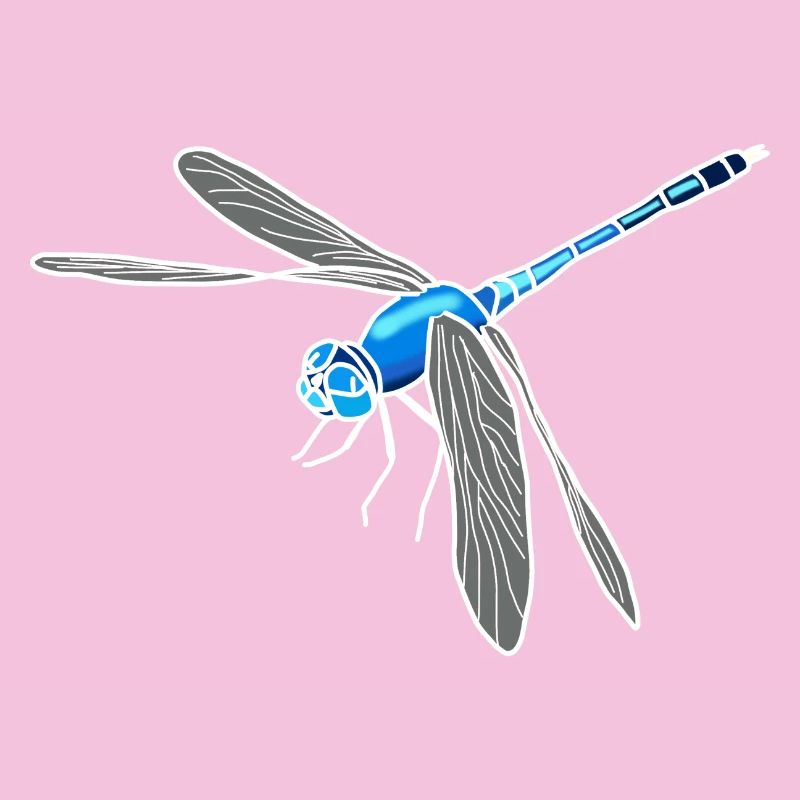 dragonfly