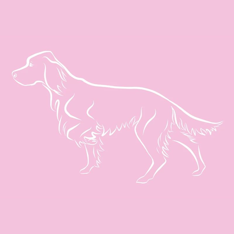 Setter ci-dessus