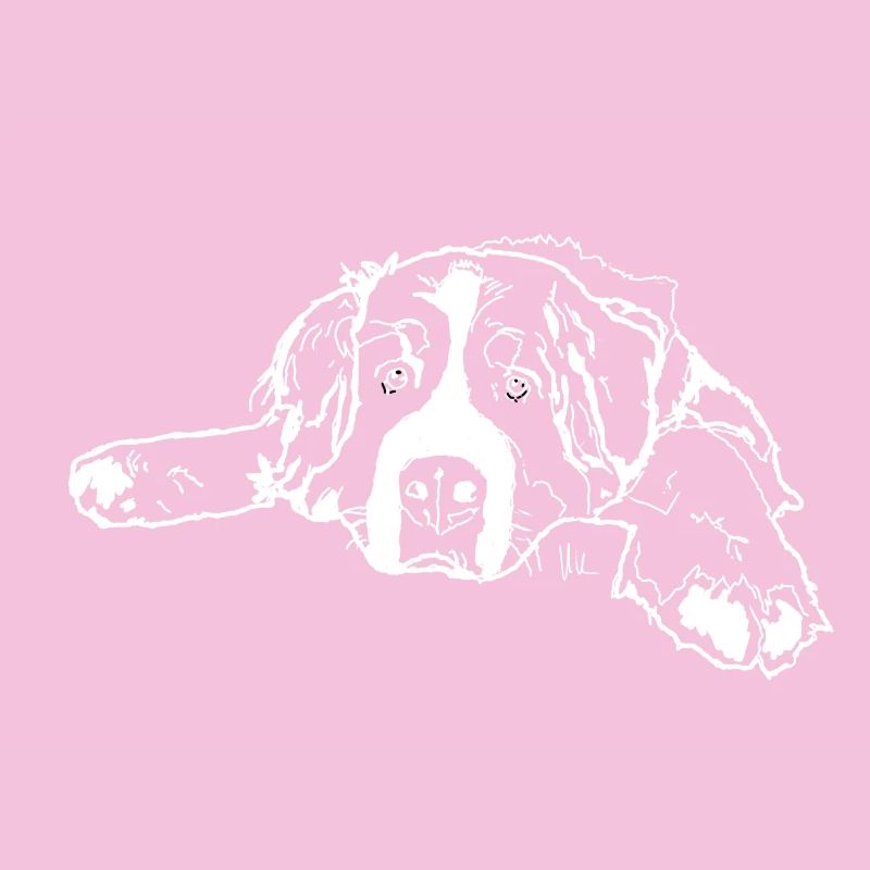 Berner Sennenhund