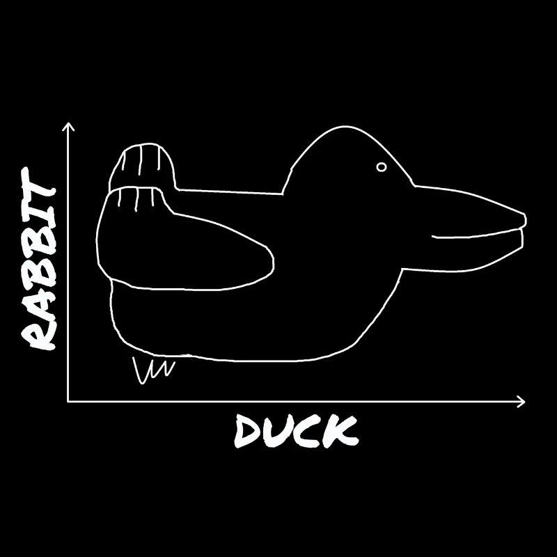 Drôle de canard graphique lapin