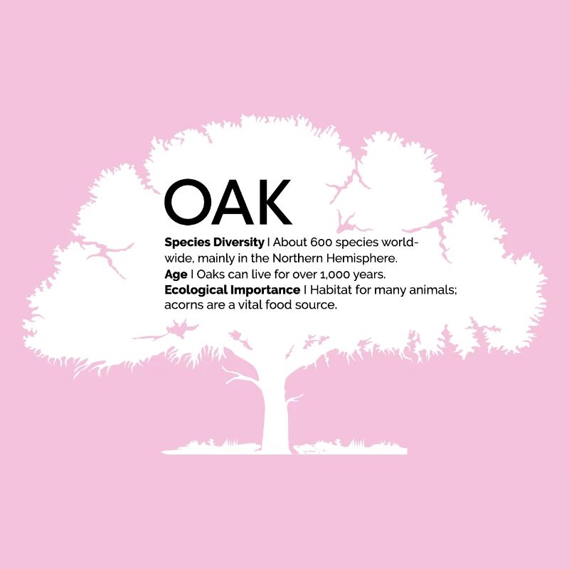OAK Oaks with Information Nature Conservation Tree Forest