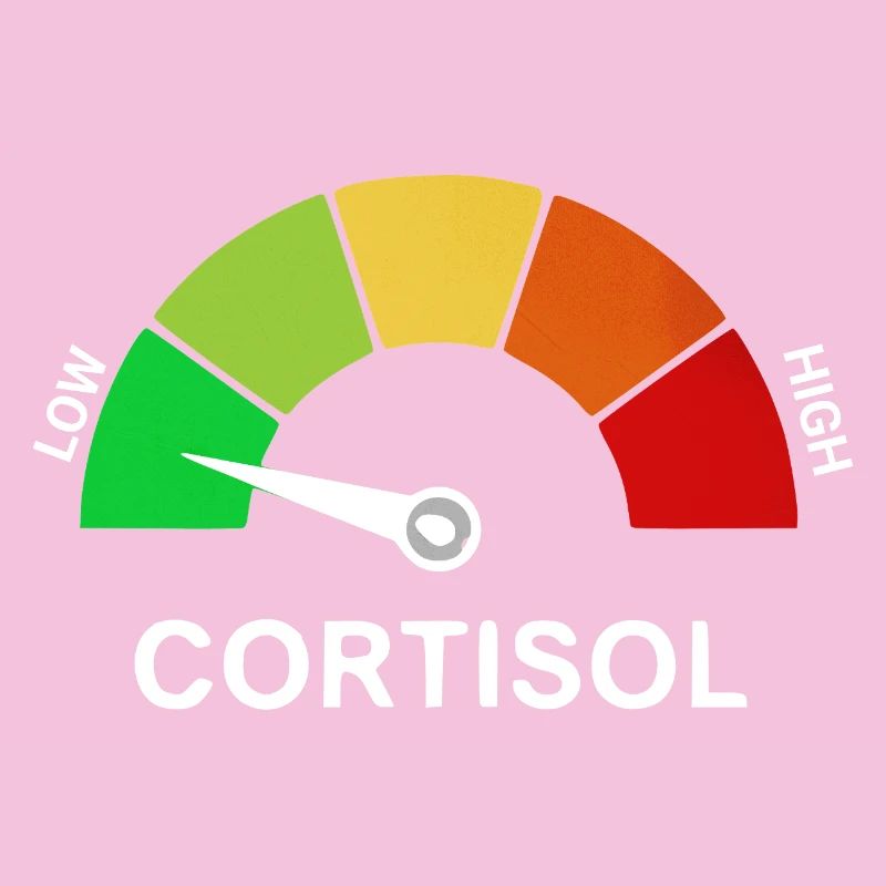 Échelle de cortisol bas