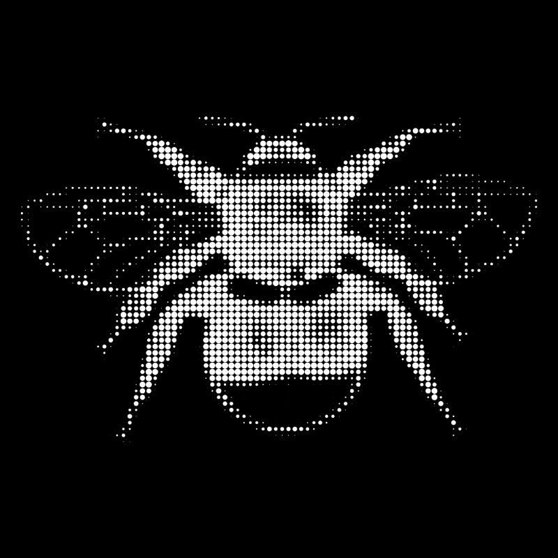 Abeille en optique pixel
