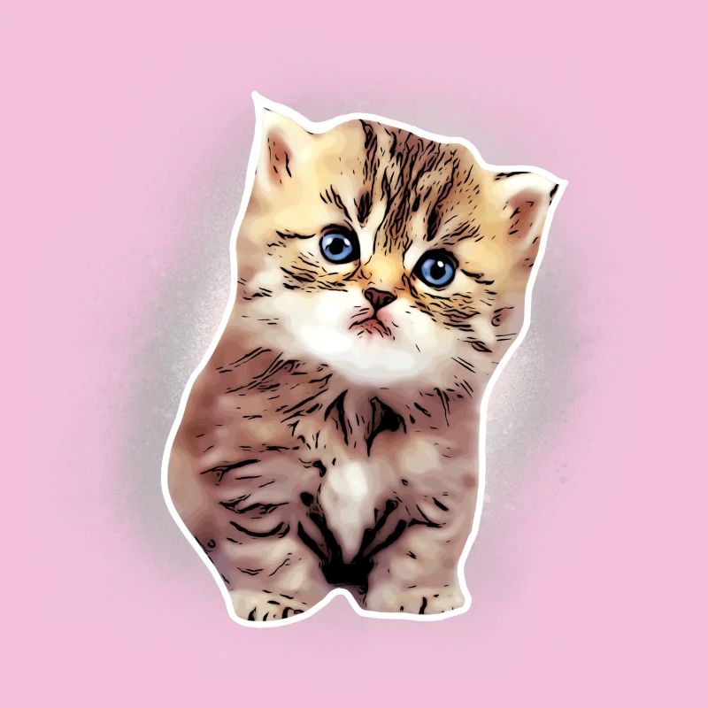 Baby katze
