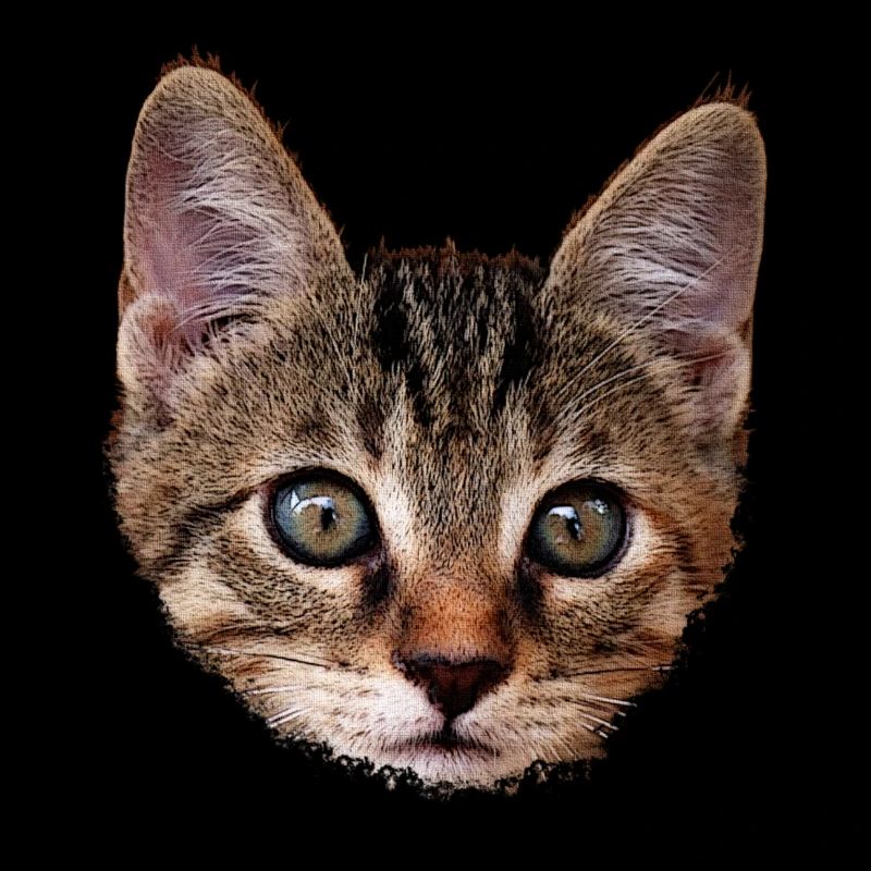 kätzchen Gesicht, tabby Motive, gestromt