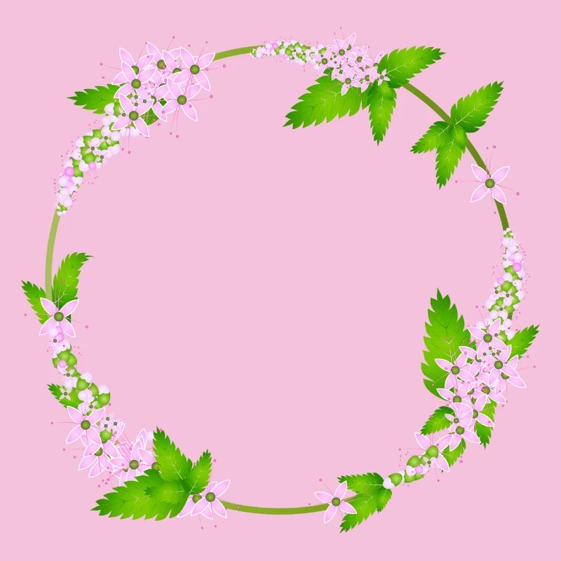 des feuilles de menthe fraîche et des fleurs de menthe comme cadre