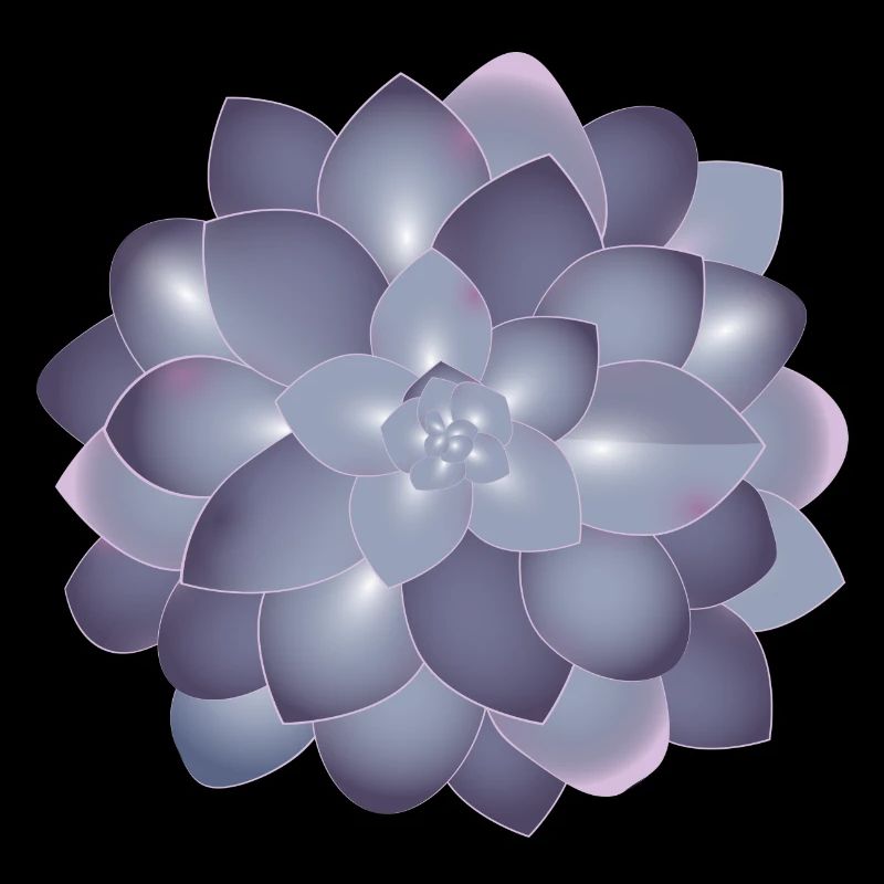 De belles plantes succulentes s’épanouissent dans des couleurs délicates