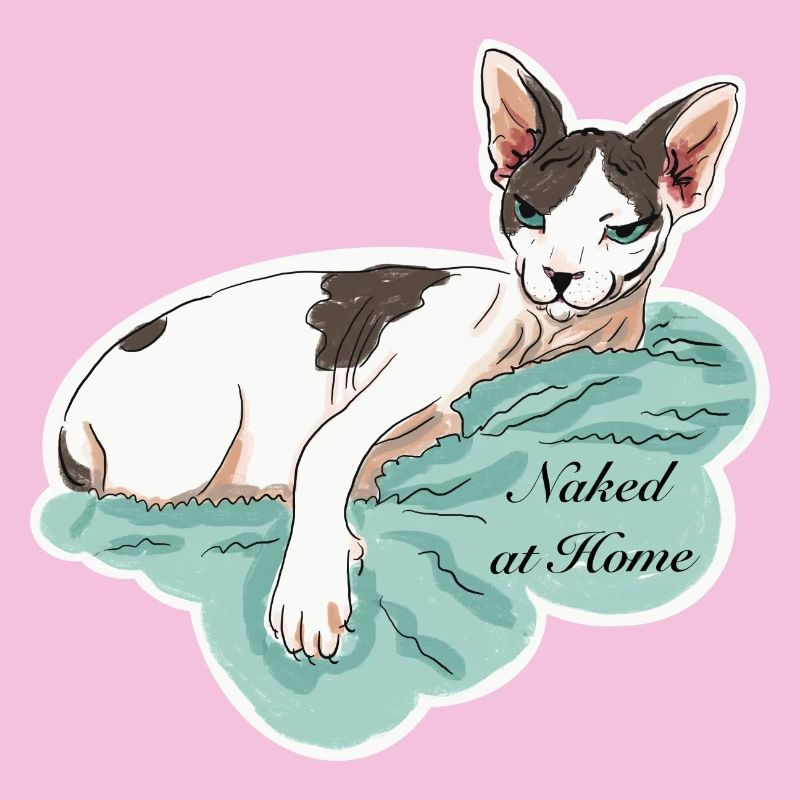 Sphynx nu à la maison