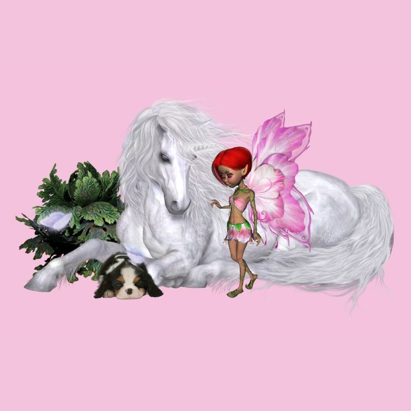 Merveilleuse licorne avec fée