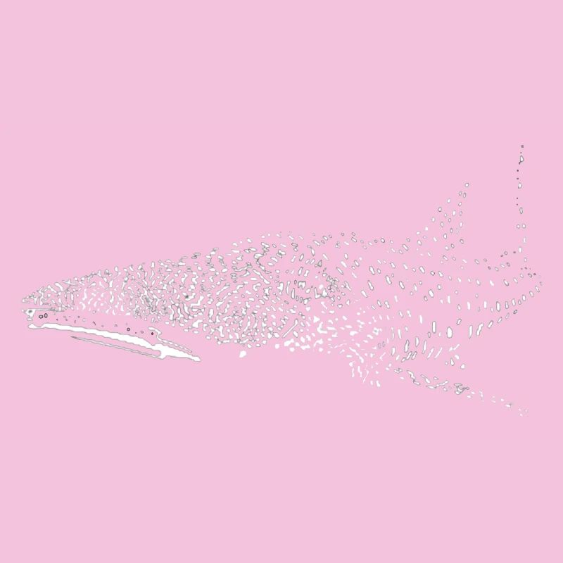 Whale shark
