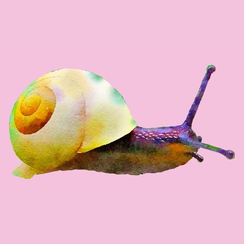 snail