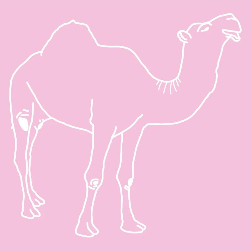 Lineart dromadaire