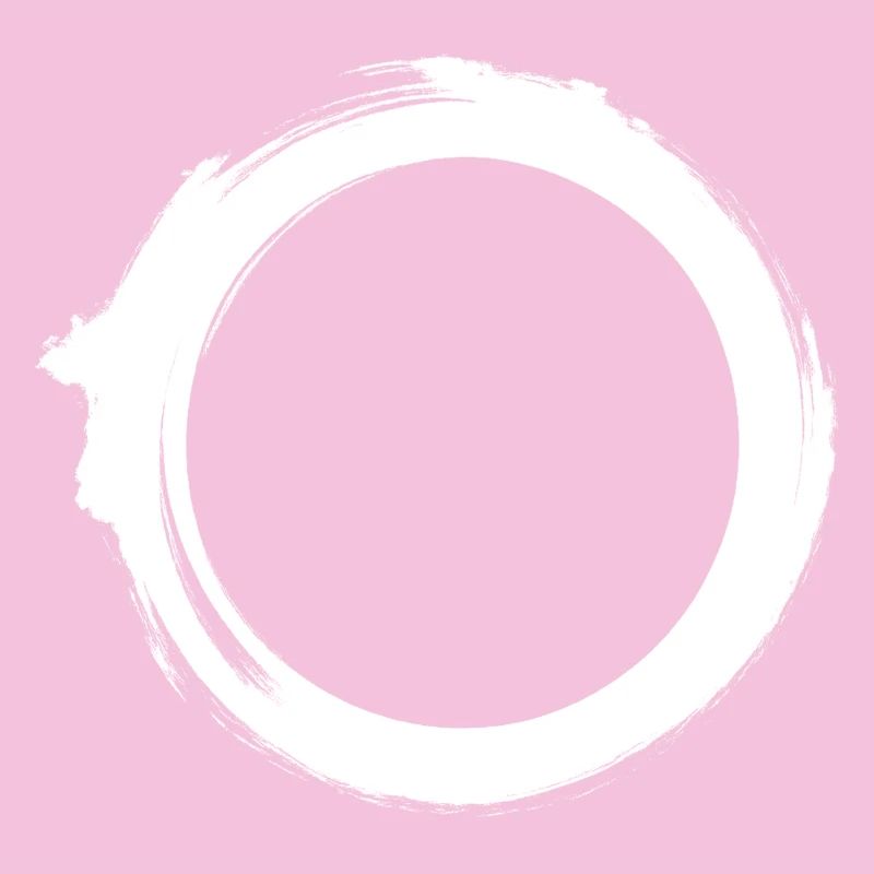 Black Hole Universe Silhouette Minimal Physics