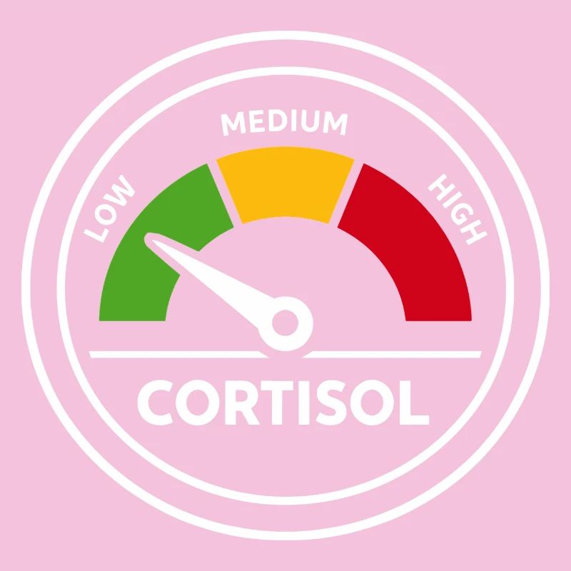 Cortisol Messgerät Lustig Hormone Geschenk