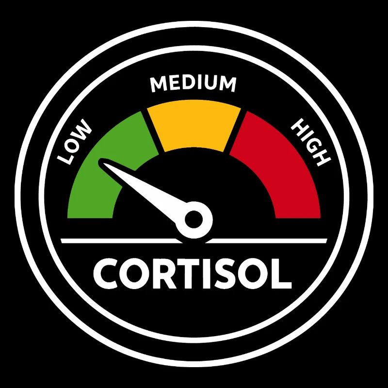 Cortisol Meter Funny Hormones Gift