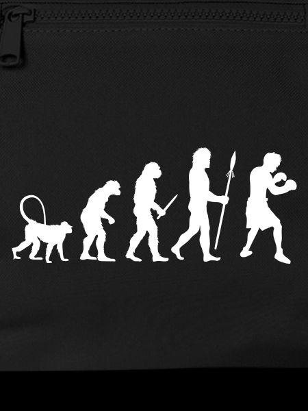 Evolution des Boxens