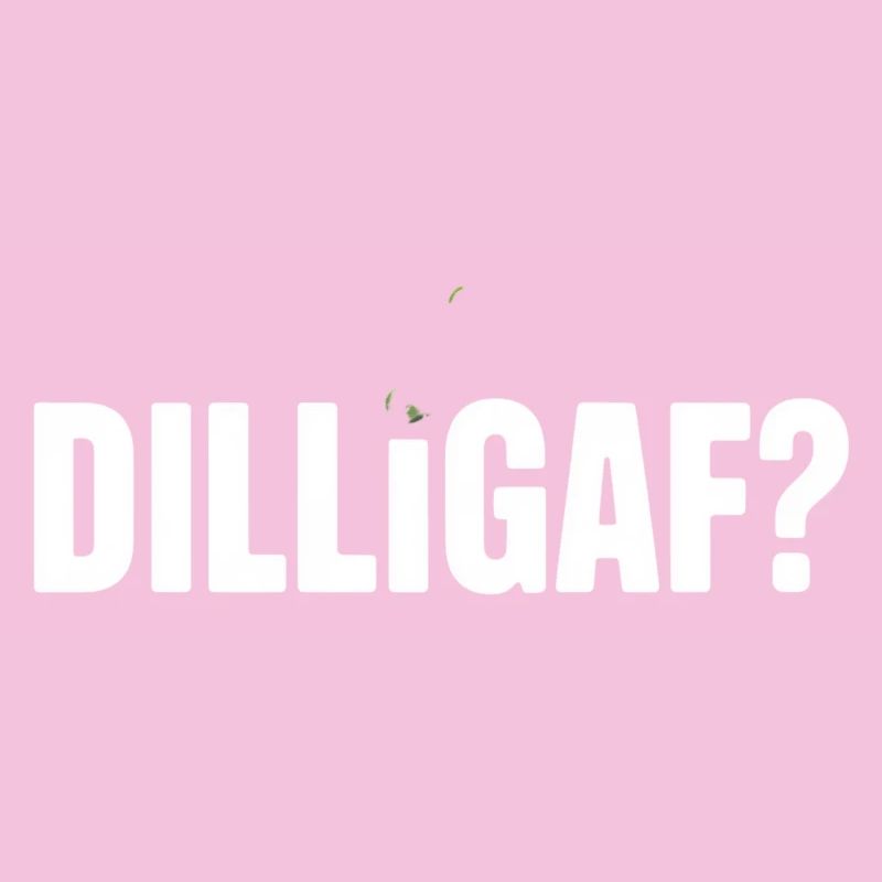 DILLIGAF Humor Spruch Sarkasmus Statement