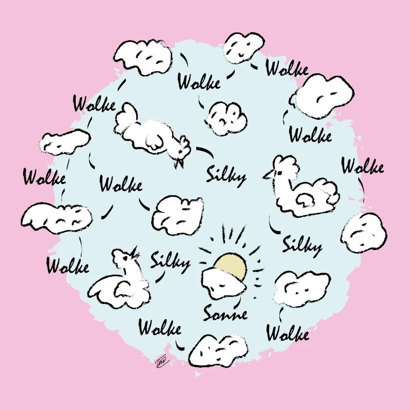 Silk Cloud