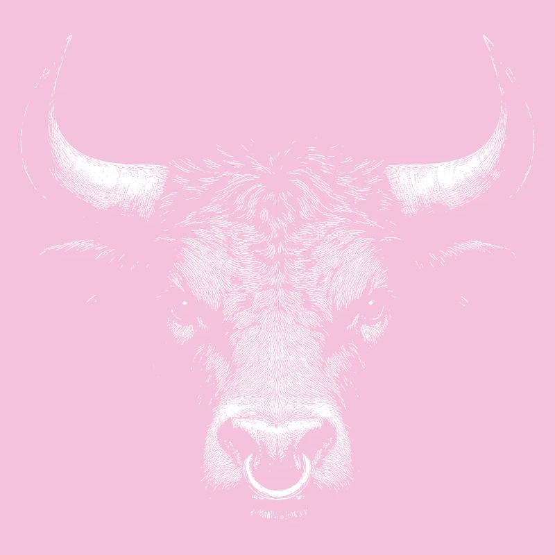 Stier