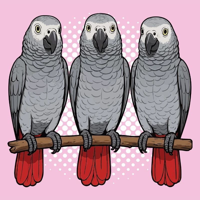 African grey parrot parrot owner parrot keeper