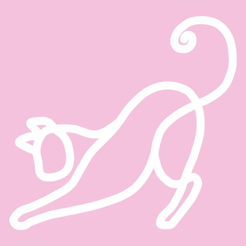 Chat minimaliste