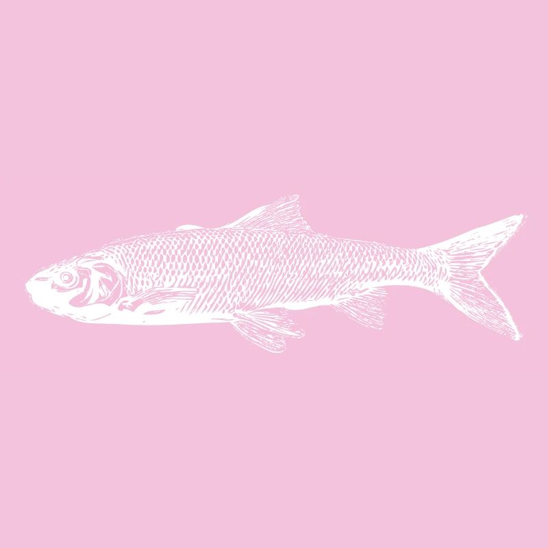 Trout fish