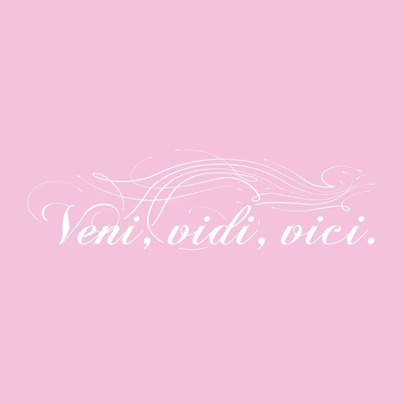 Veni vidi vici