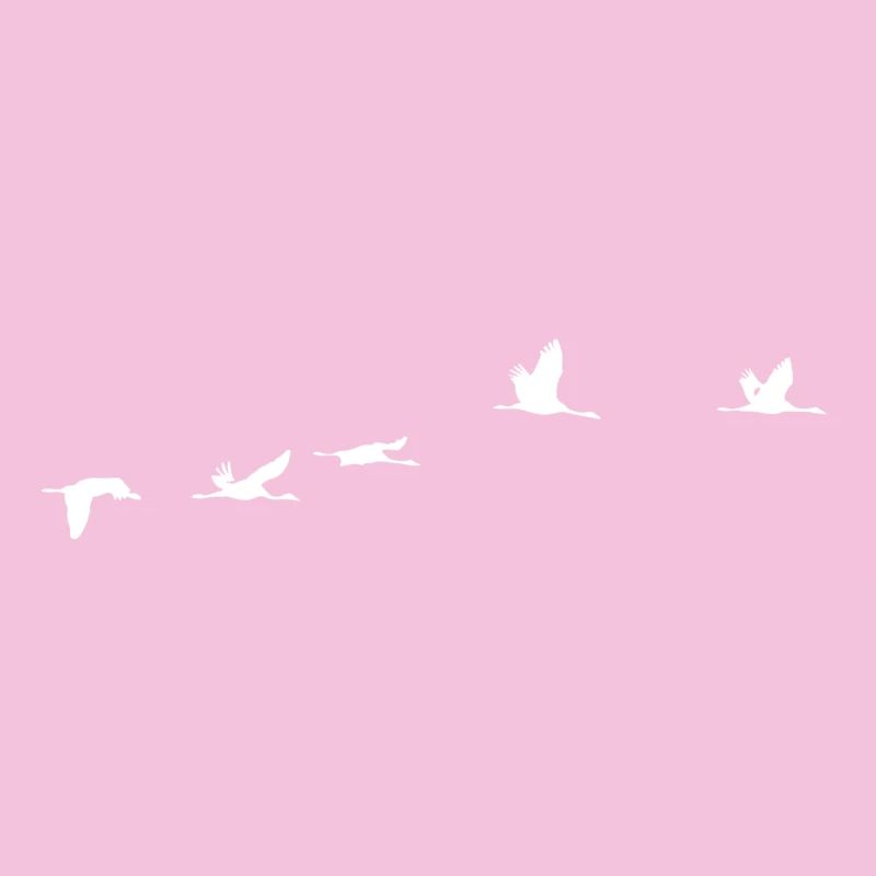Migratory birds white crane