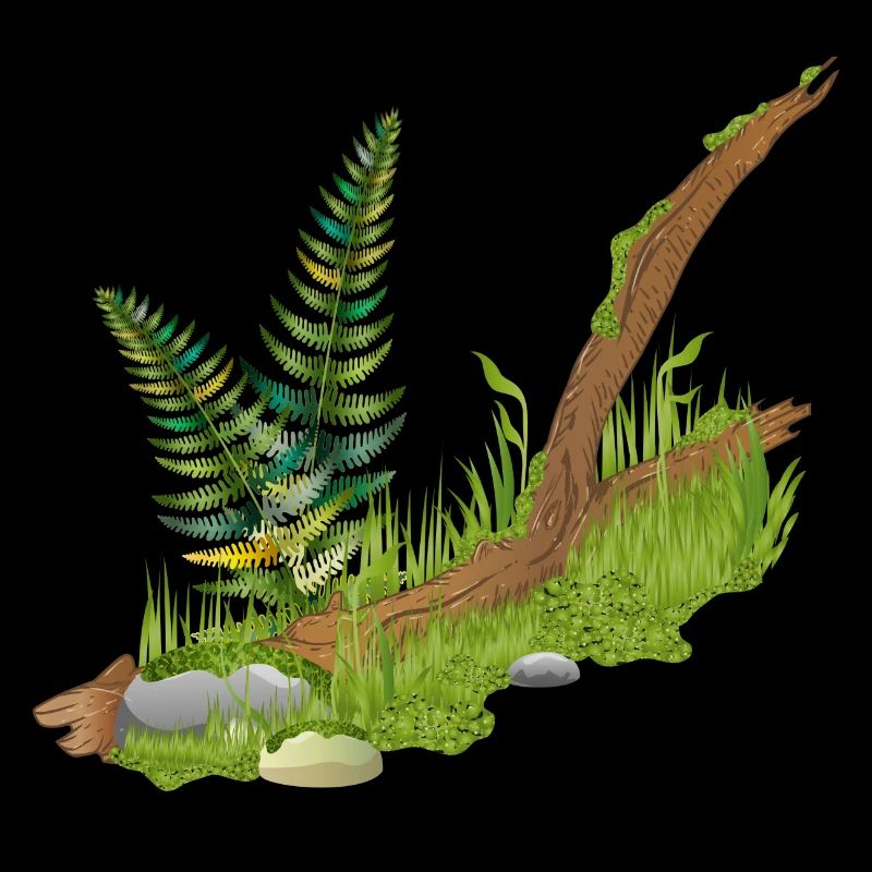 un morceau de branche de la mer en forêt