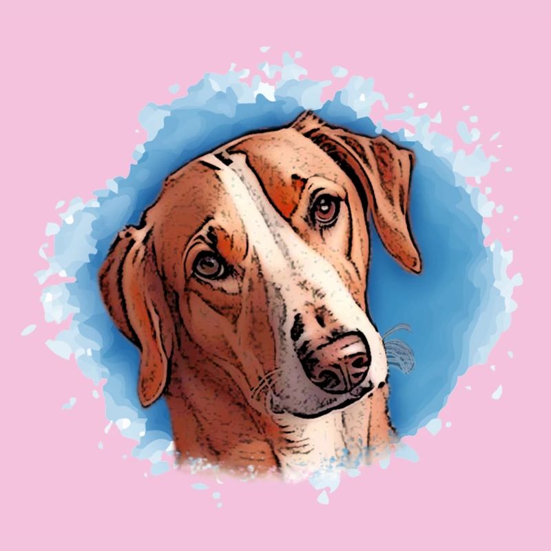Chien SAVEBRACKE Chien de chasse Turquoise Aquarelle Design