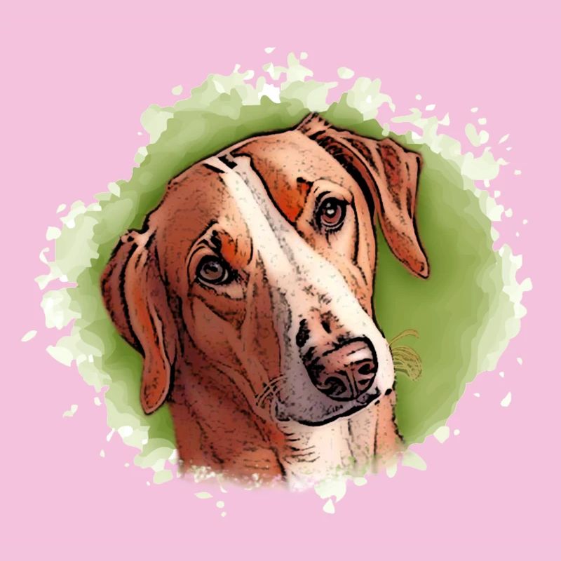 Chien SAVEBRACKE Chien de chasse Vert Aquarelle Design