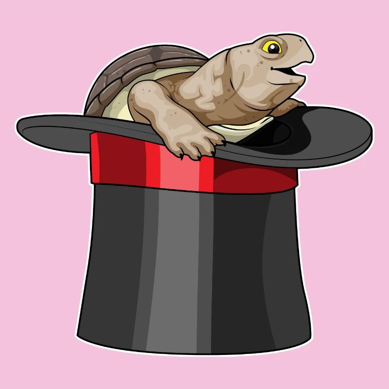 Turtle Wizard Cylinder