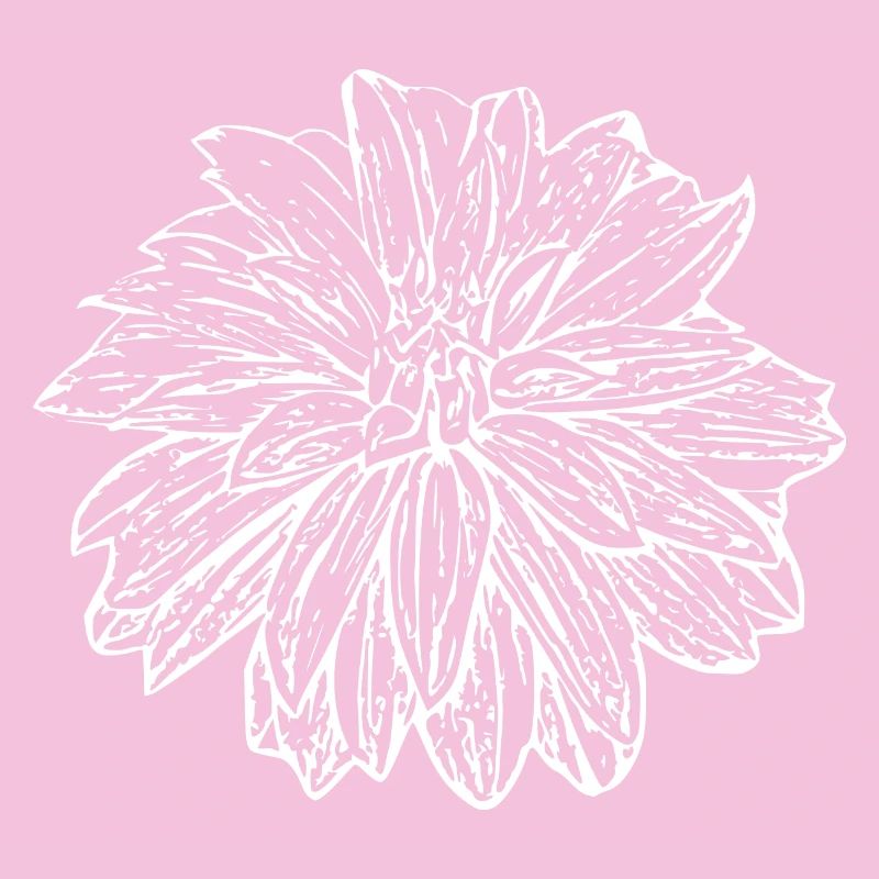 Fleur, Blanc, Fleur Blanche